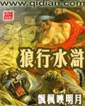 贴身特工小说