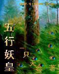 紫血圣皇小说