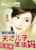 红猫 小说