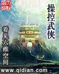 美国农场主 小说