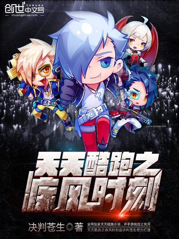 矽统科技小说