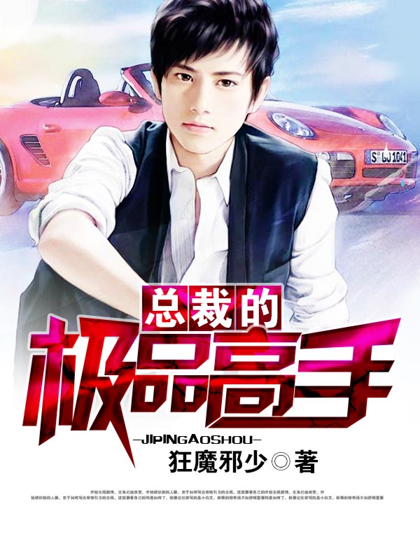 总裁的极品高手