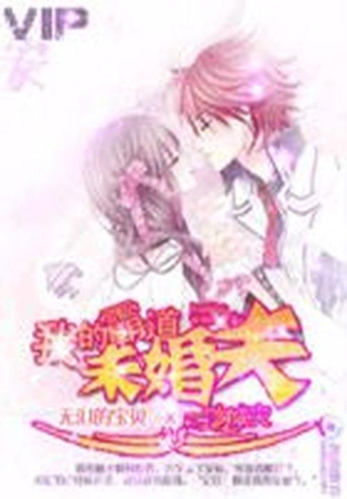 【一吻成灾：我的霸道未婚夫在线试读小说】主角文叔小姐