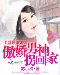 盛世暖婚：傲娇男神拐回家