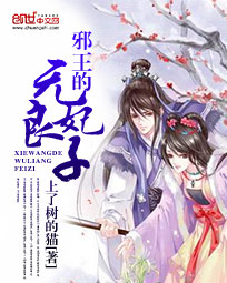 之厨师小说