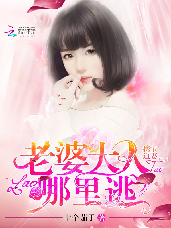 携宝追妻:老婆大人,哪里逃