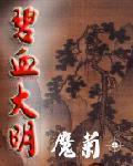 低调术士 小说