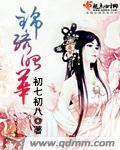 何菲小说