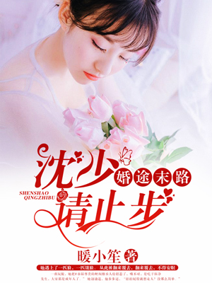 婚途末路沈少请止步