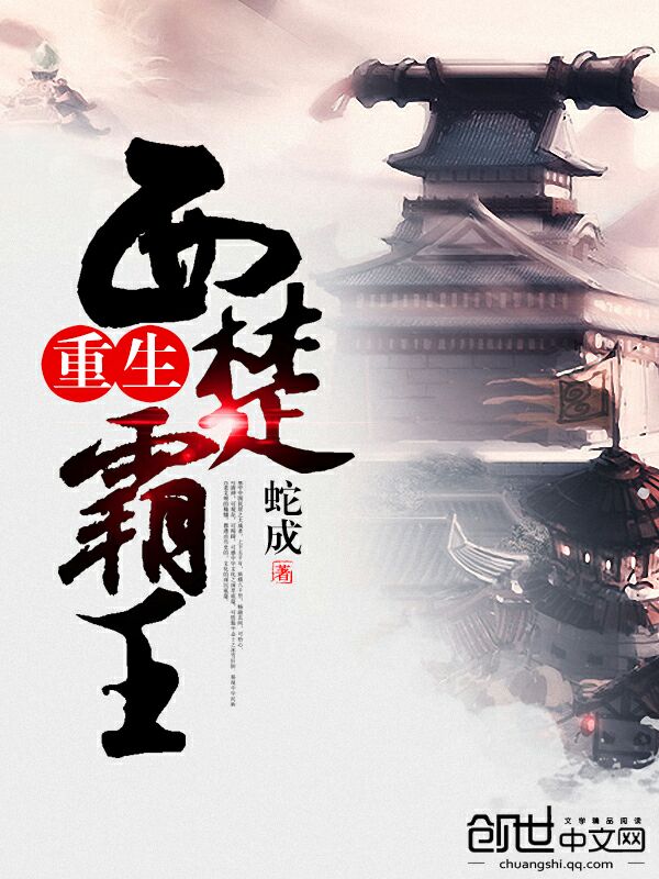 我与毛婶小说