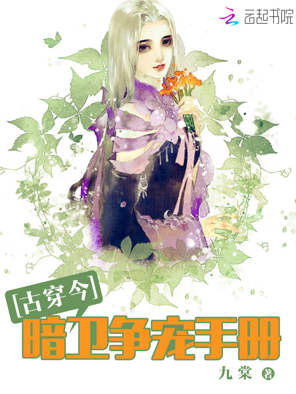 大唐荣耀的小说