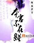 安晓佐小说