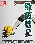 绿茵彗星主角彭泰格免费试读章节目录完结版