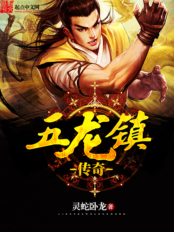 领主黑暗流小说