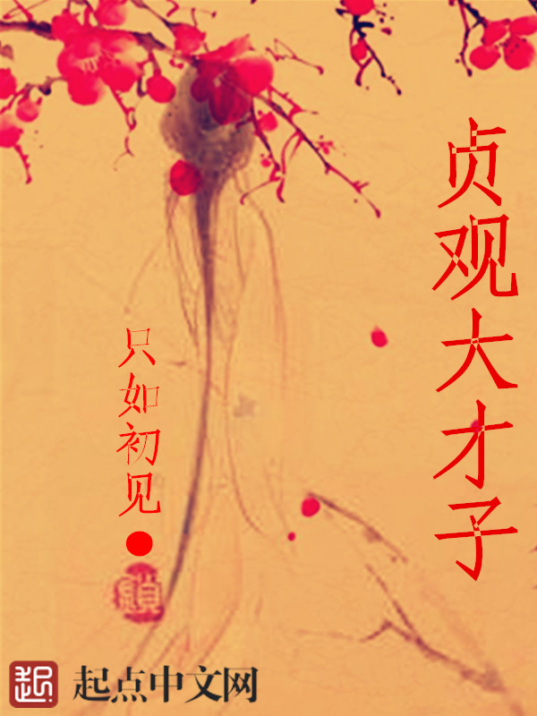 无双公子小说