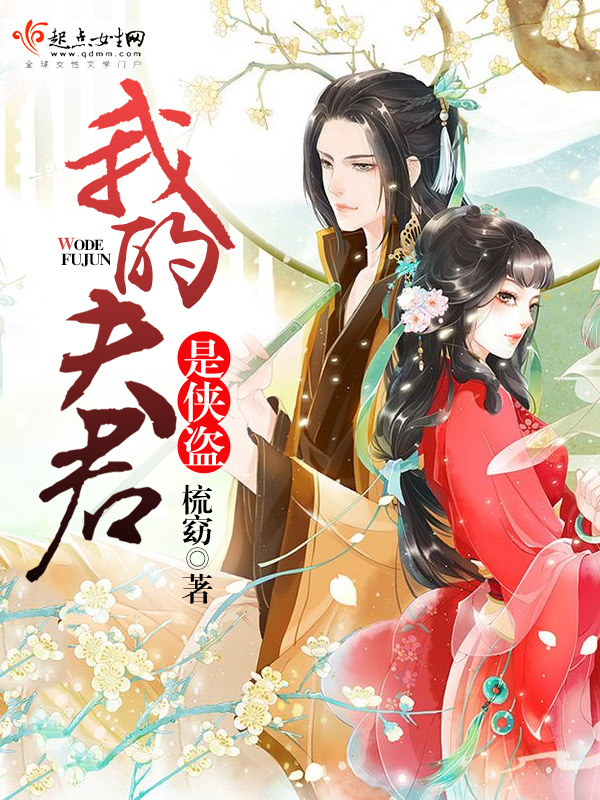 我的夫君是侠盗