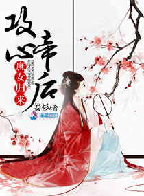 政治风云小说