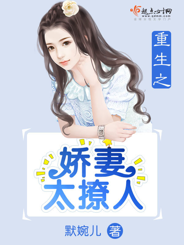 乃木板之诗小说