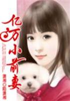 撒旦总裁的亿万小前妻