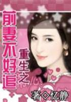 黑道王小说