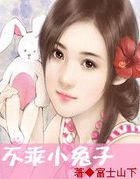 陈佳小说