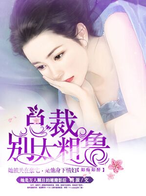 如痴如醉总裁别太粗鲁