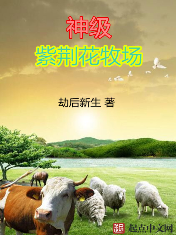 战国无双小说