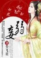 李睿小说