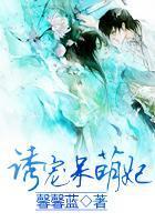 诱宠呆萌妃