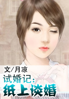 进入小说世界的小说