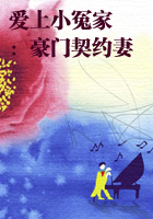 爱上小冤家：豪门契约妻