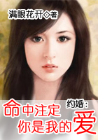 约婚：命中注定你是我的爱