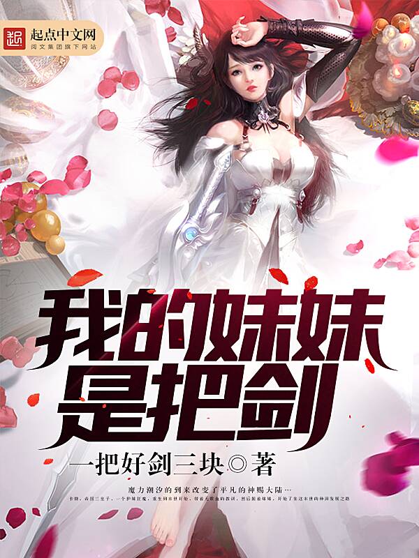 毕加索小说