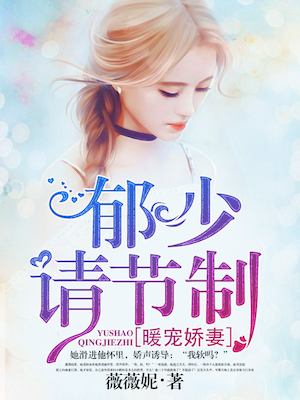 暖宠娇妻郁少请节制