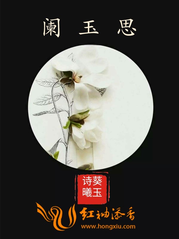 玩具家族小说